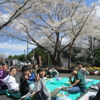 桜の木の下で１　～歴史を紡ぐ～