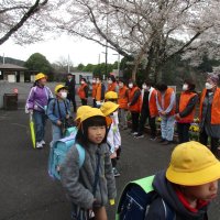 桜の木の下で２　～歴史を紡ぐ～
