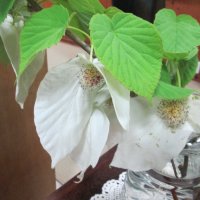 地域とともにある学校づくり
