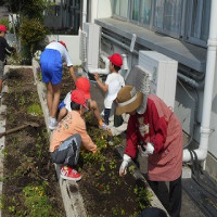 ５月２９日（木） 「フラワー咲くせん」
