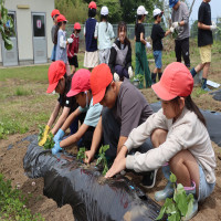 今日の桂小（５／２９）