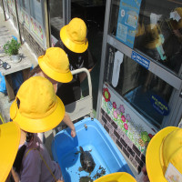 地域とともに　～２年生が町探検～