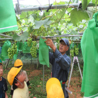 「阿久津果樹園様」ありがとうございました